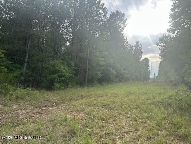 1048 Williamson Road Wesson, MS 39191 - Photo 3 of 11 land 11