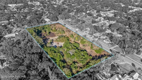 a view of a garden with plants