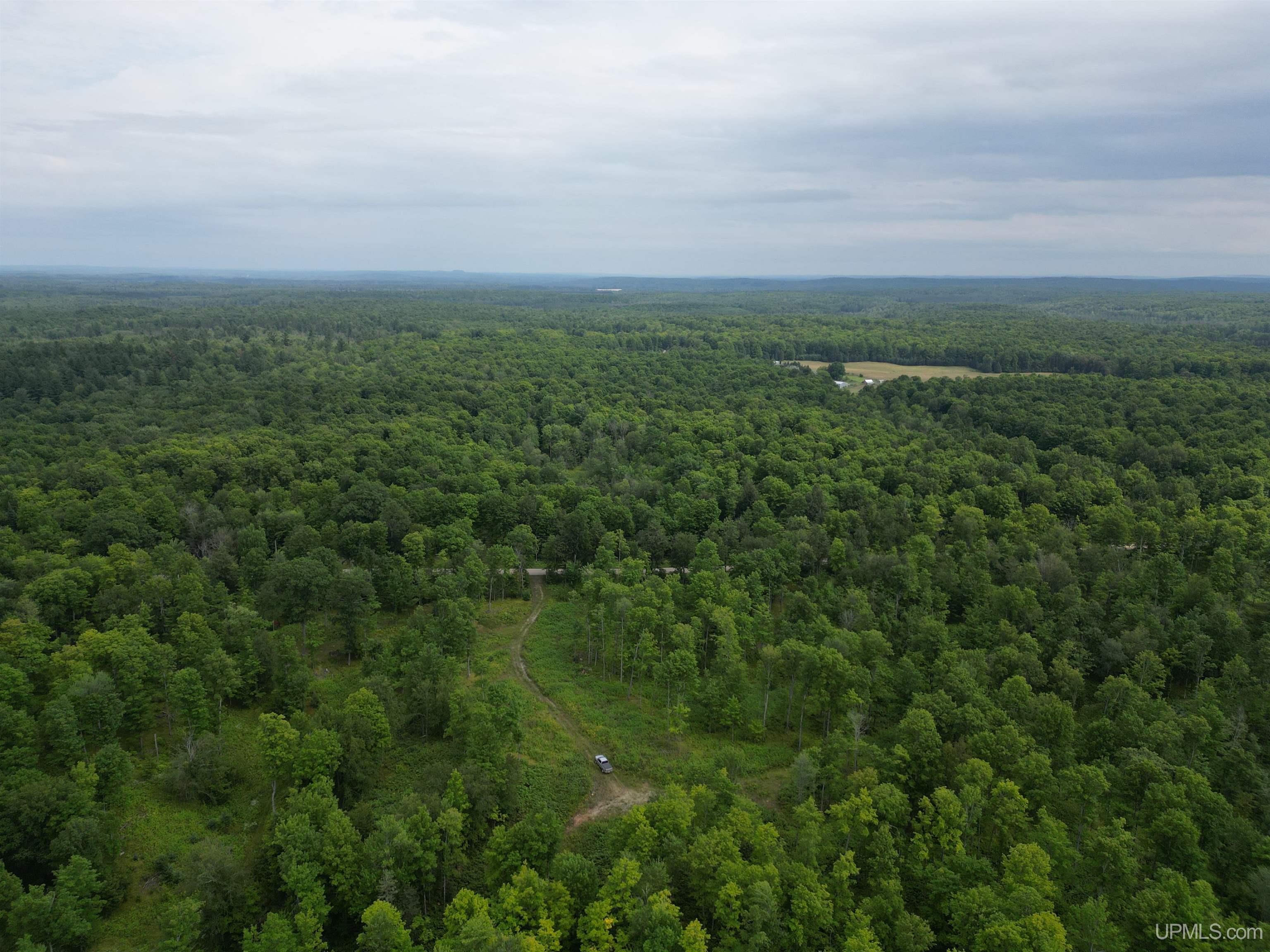 Tbd Camp Five Road Crystal Falls, MI 49920 - Photo 17 of 54 Gallery Image 17