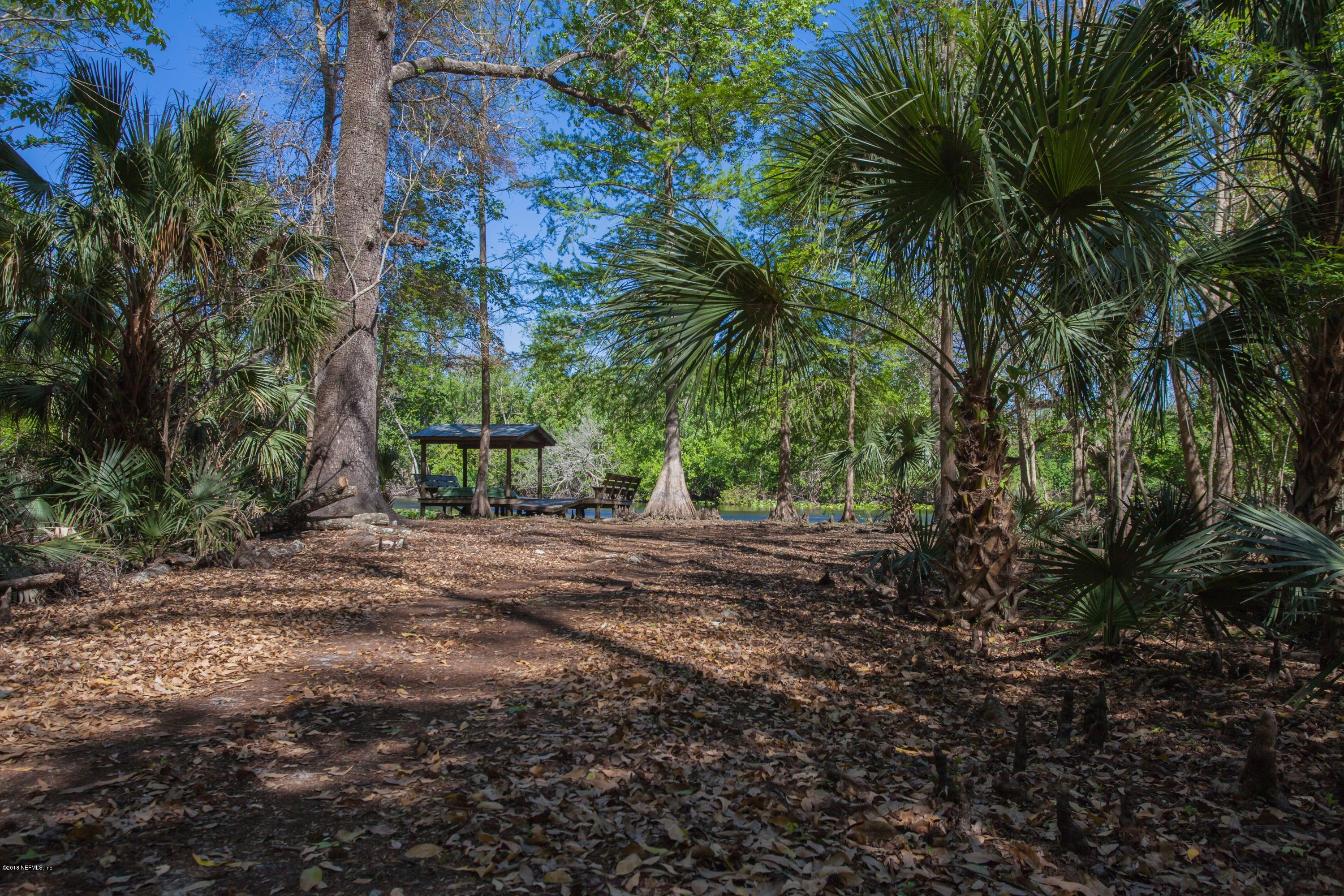 7986 National Forest Road Palatka, FL 32177 - Photo 28 of 31 a view of a yard with plants and trees