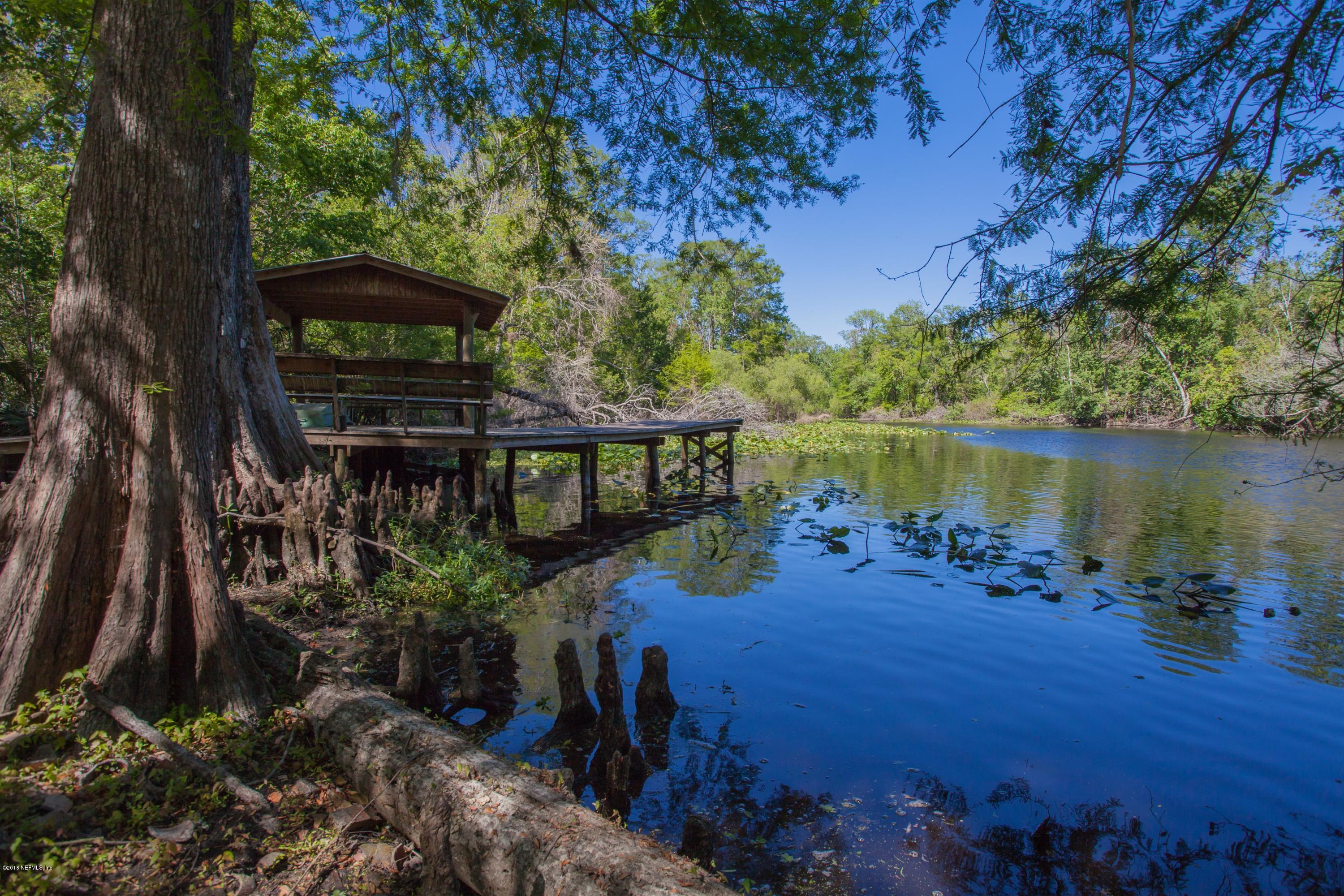 7986 National Forest Road Palatka, FL 32177 - Photo 3 of 31 a view of a backyard with plants and lake view