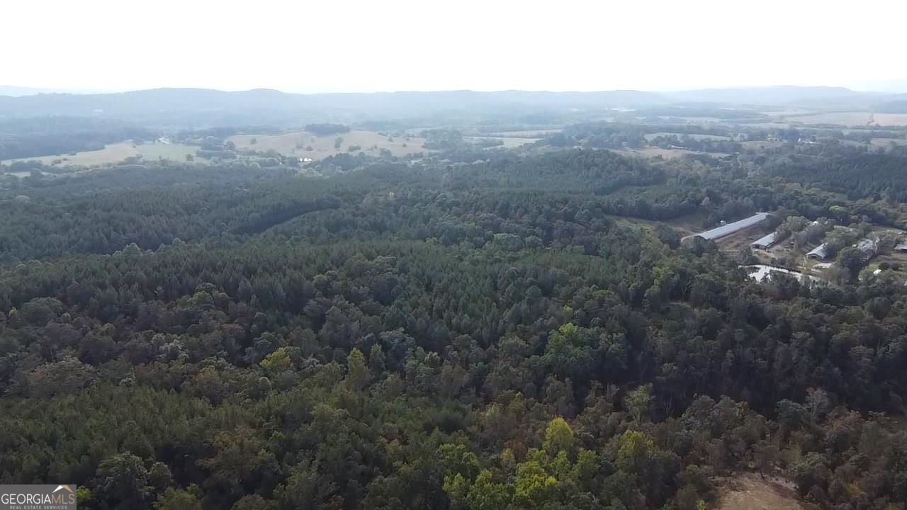 0 Possum Hollow Road Ranger, GA 30139 - Photo 11 of 13 an aerial view of house with yard and mountain view in back