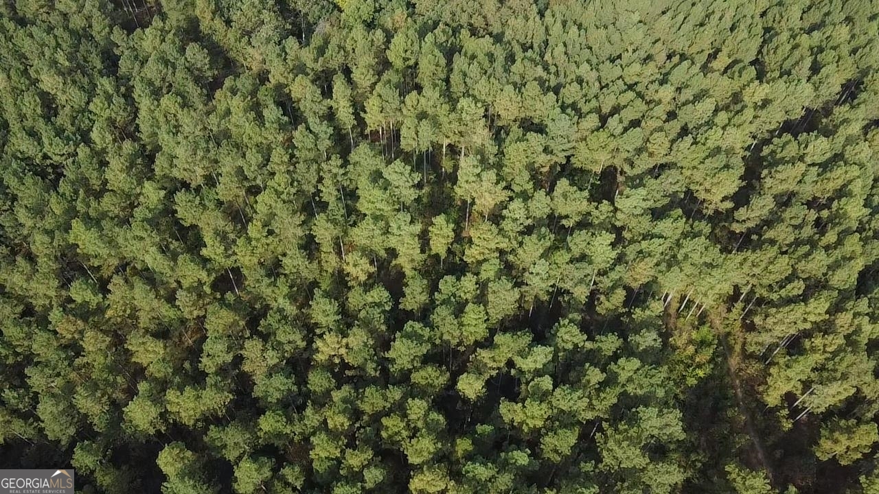0 Possum Hollow Road Ranger, GA 30139 - Photo 12 of 13 a view of a yard