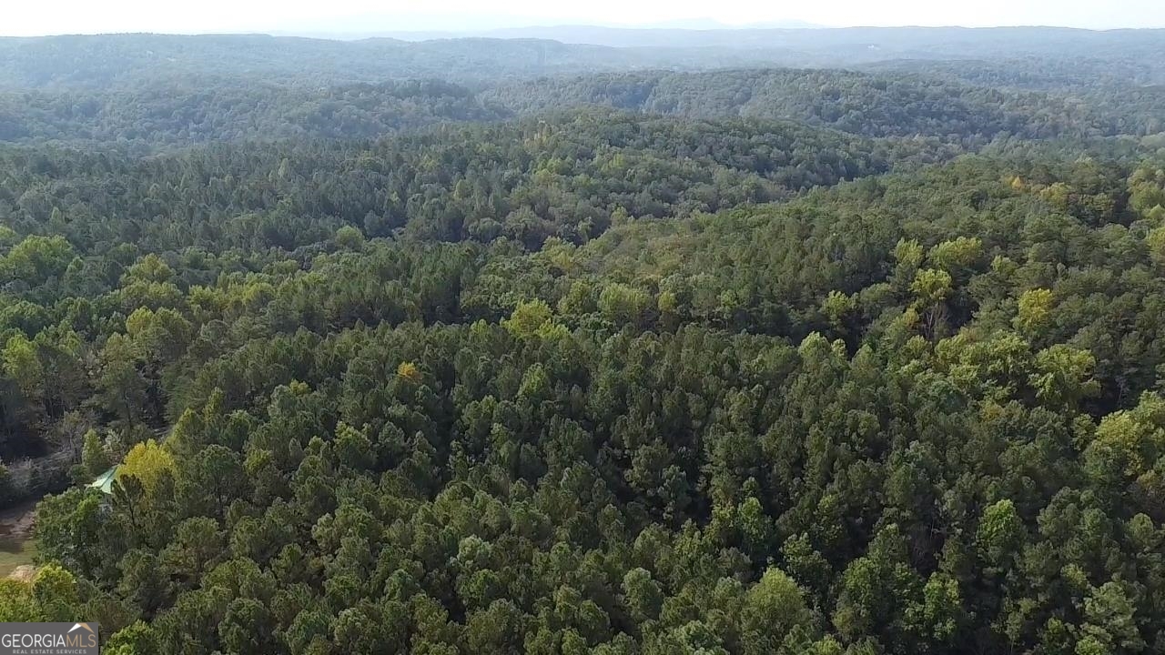 0 Possum Hollow Road Ranger, GA 30139 - Photo 13 of 13 a view of a forest with a street