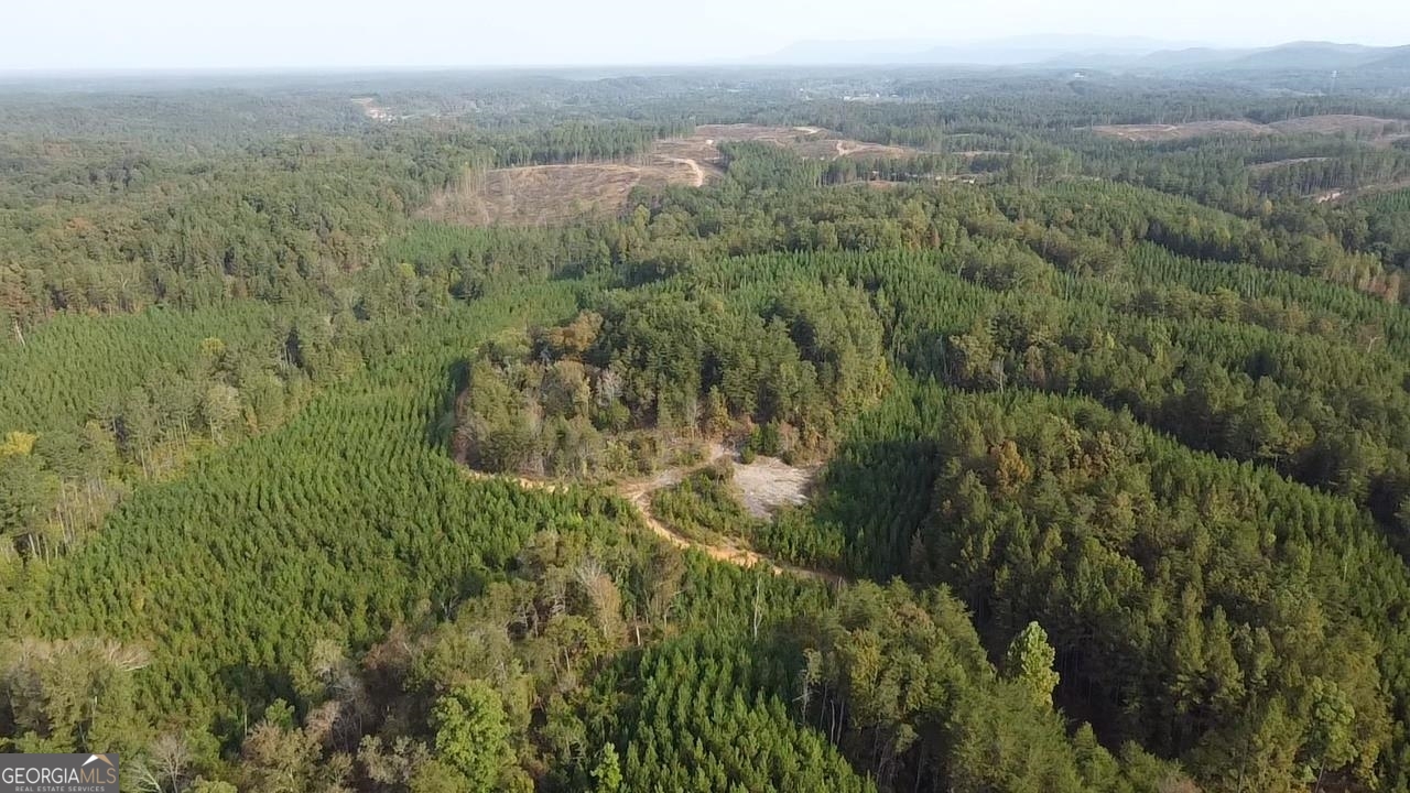 0 Possum Hollow Road Ranger, GA 30139 - Photo 4 of 13 a view of a forest with a street