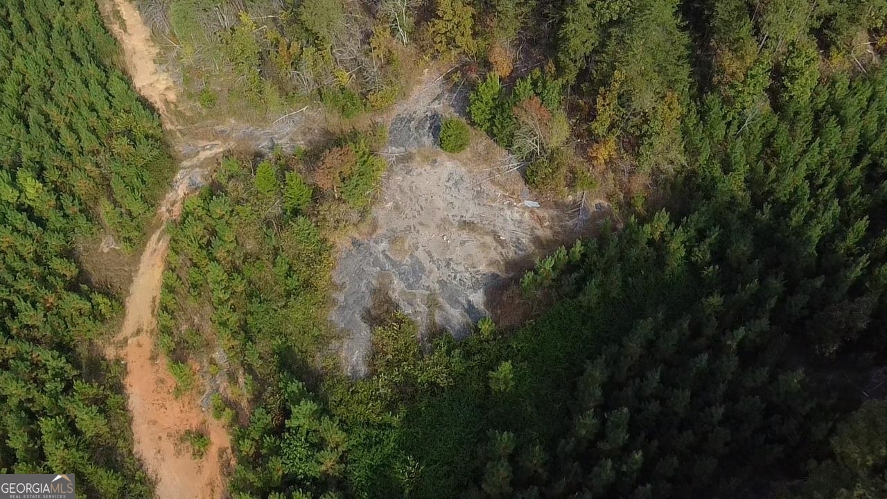 0 Possum Hollow Road Ranger, GA 30139 - Photo 5 of 13 a view of a forest