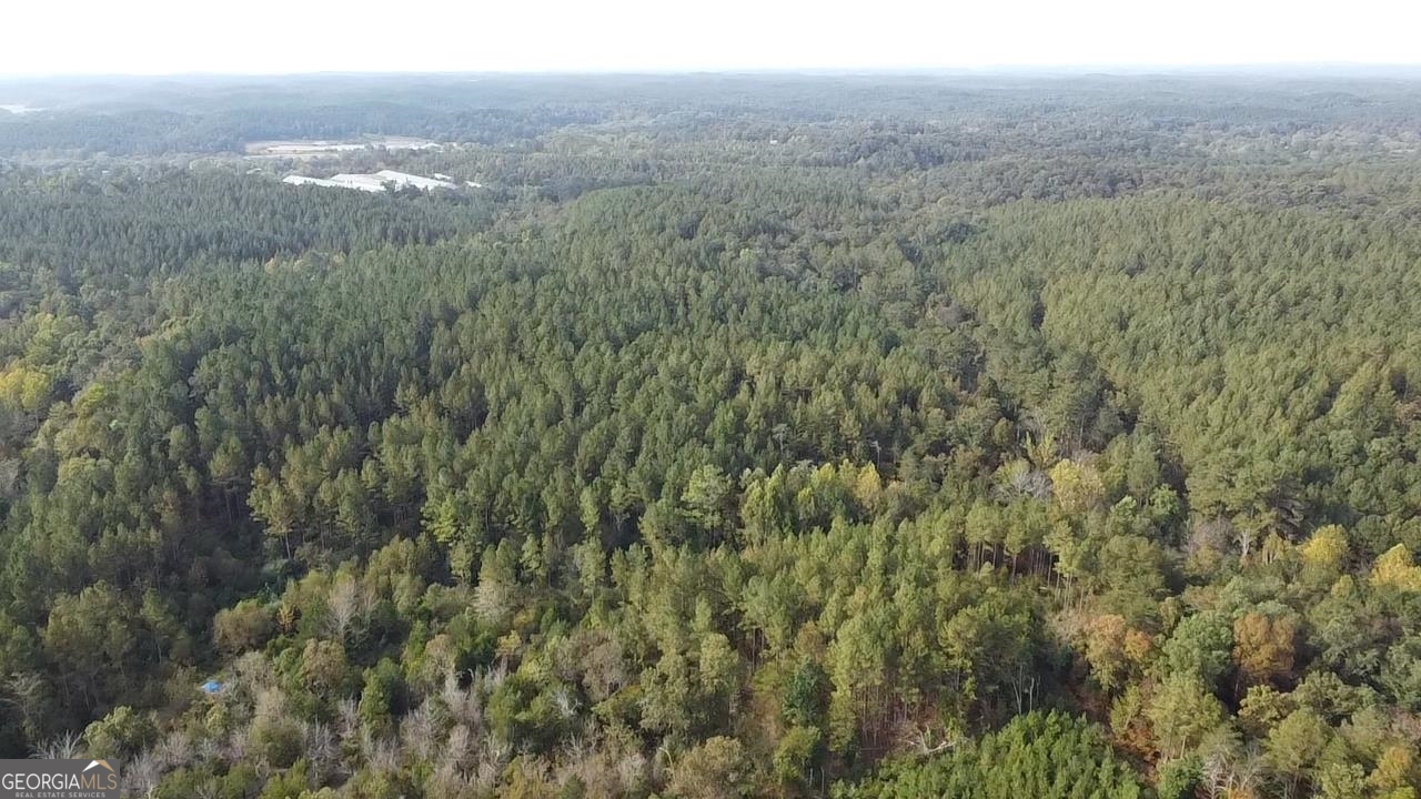 0 Possum Hollow Road Ranger, GA 30139 - Photo 6 of 13 a view of a city with lush green forest