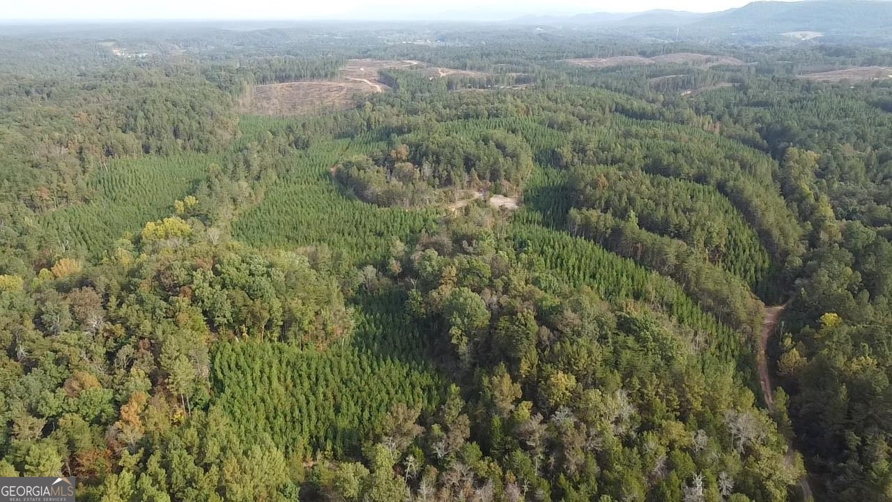 0 Possum Hollow Road Ranger, GA 30139 - Photo 7 of 13 a view of a green field with lots of bushes