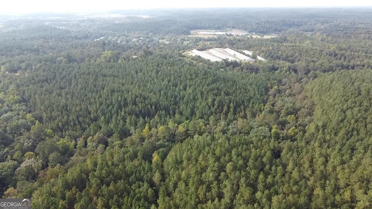 0 Possum Hollow Road Ranger, GA 30139 - Photo 8 of 13 a view of a city with lush green forest