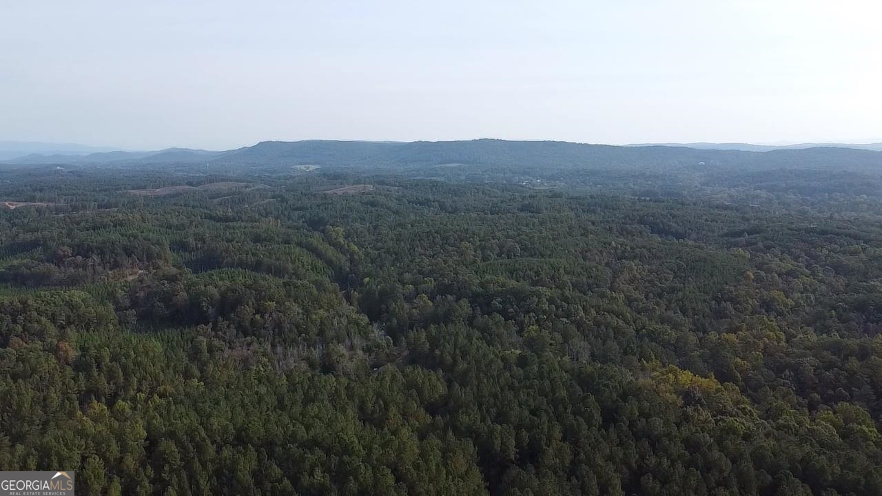0 Possum Hollow Road Ranger, GA 30139 - Photo 9 of 13 a view of a mountain in the distance in a field