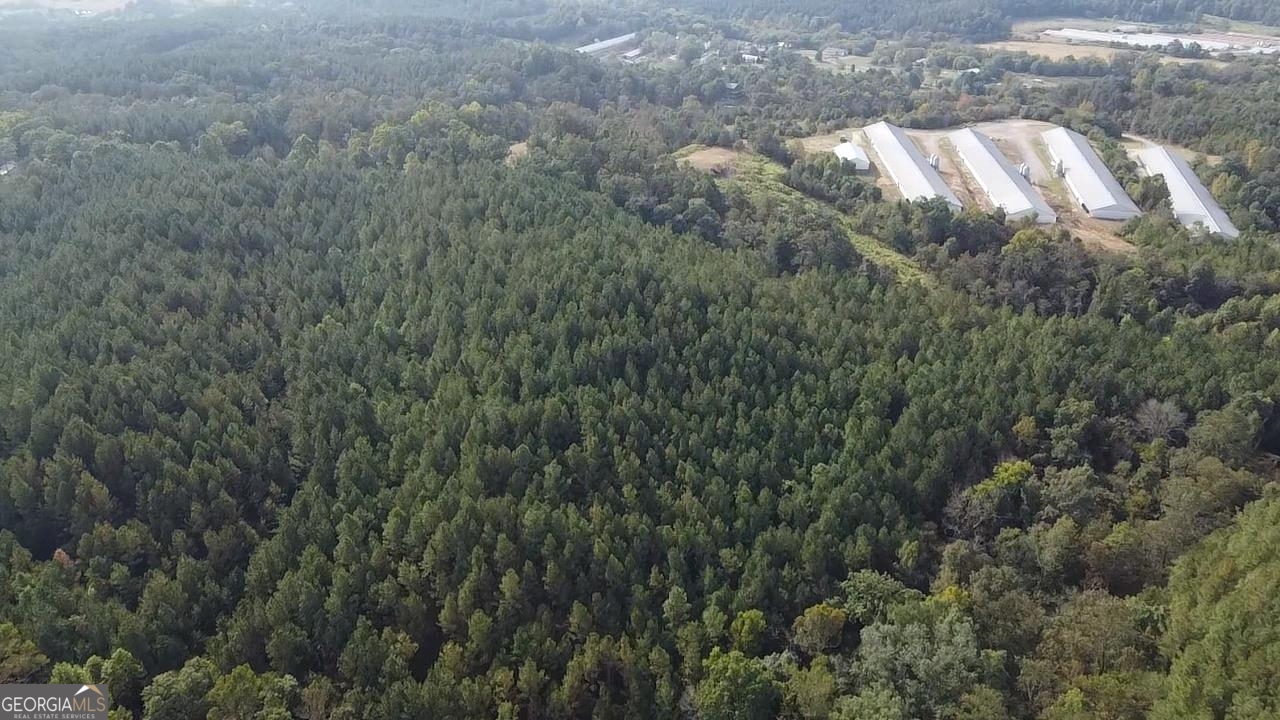0 Possum Hollow Road Ranger, GA 30139 - Photo 10 of 13 a view of a forest