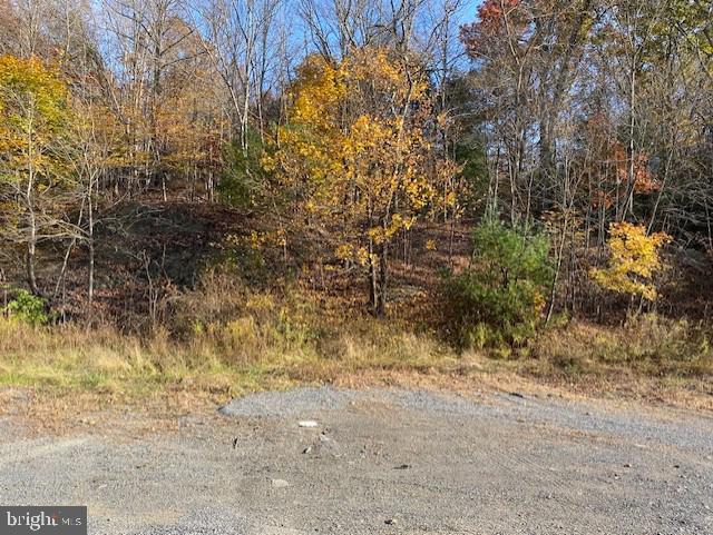 0 Buckwheat Valley Road Millerstown, PA 17062 - Photo 1 of 4