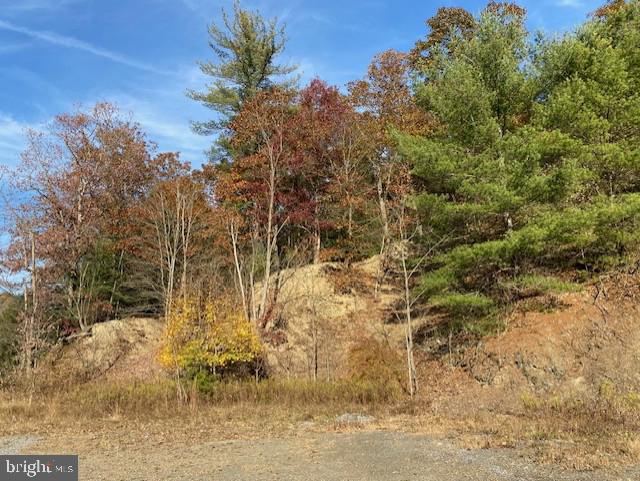 0 Buckwheat Valley Road Millerstown, PA 17062 - Photo 2 of 4