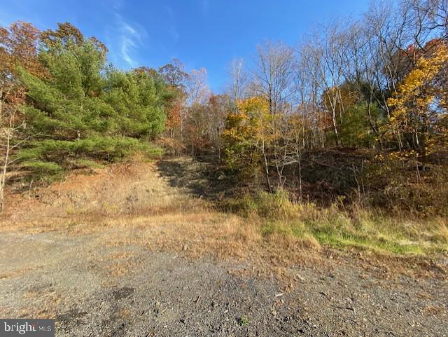 0 Buckwheat Valley Road Millerstown, PA 17062 - Photo 3 of 4