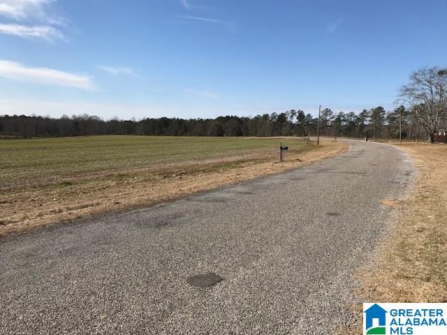 62 Spearman Road Thorsby, AL 35171 - Photo 22 of 49