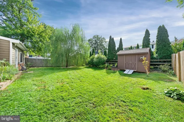 a view of a backyard with potted plants and large trees