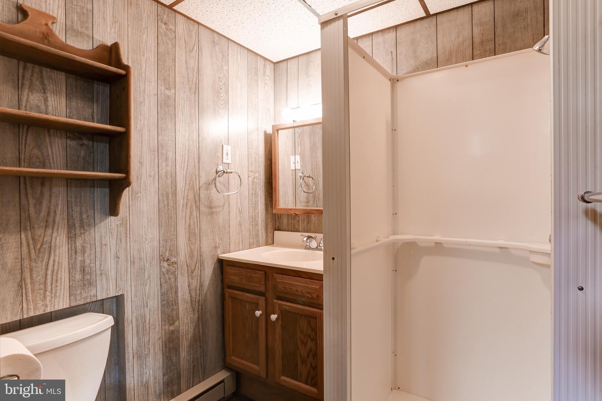 447 West Ridge Road Elizabethtown, PA 17022 - Photo 23 of 28 a bathroom with a shower and a sink