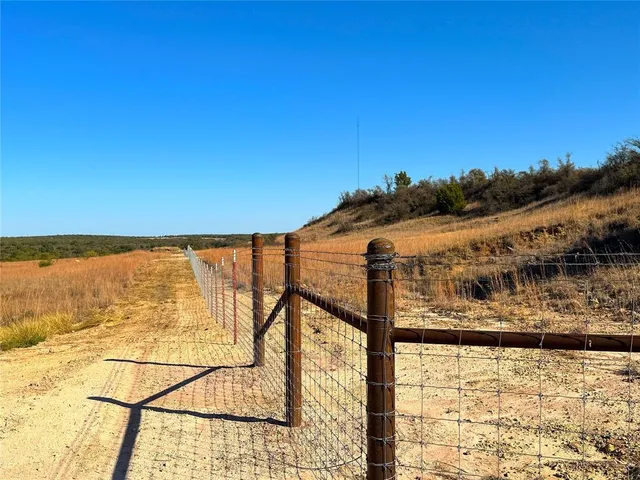 a view of a tree with a yard