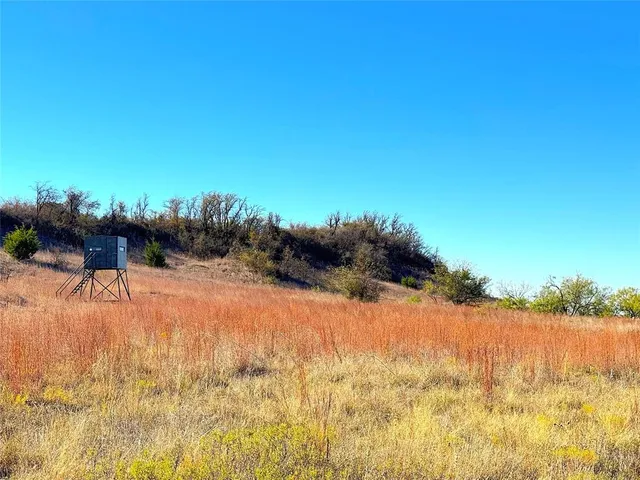 a view of beach with large trees