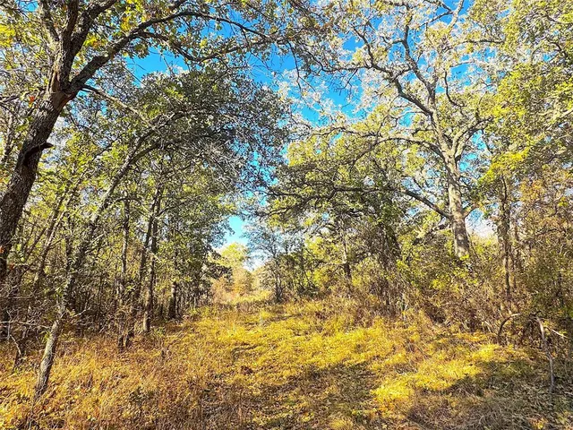 a view of yard with swimming pool and trees