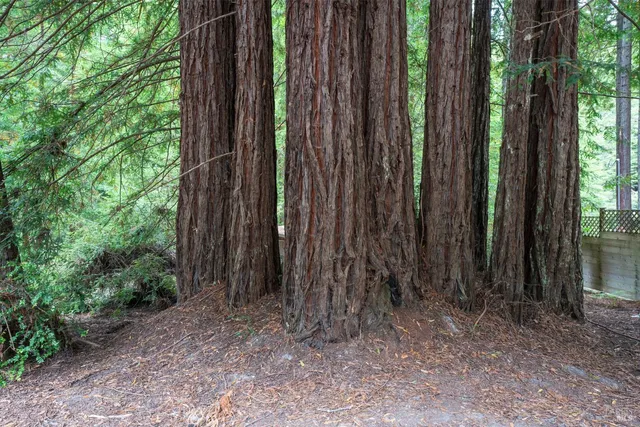 $650,000 | 43853 Tibbens Lane, Mendocino, CA 95460