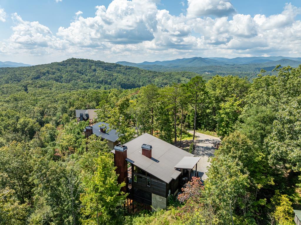 220 Firefly Road Blue Ridge, GA 30513 - Photo 17 of 74 Gallery Image 17