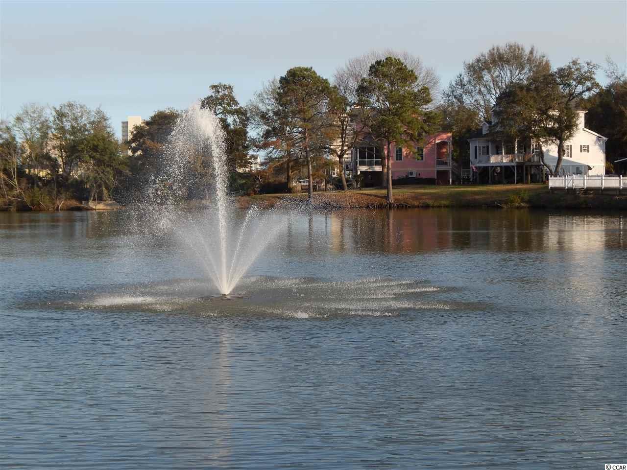 402 Bay Drive Extension Murrells Inlet, SC 29576 - Photo 25 of 25 Gallery Image 25