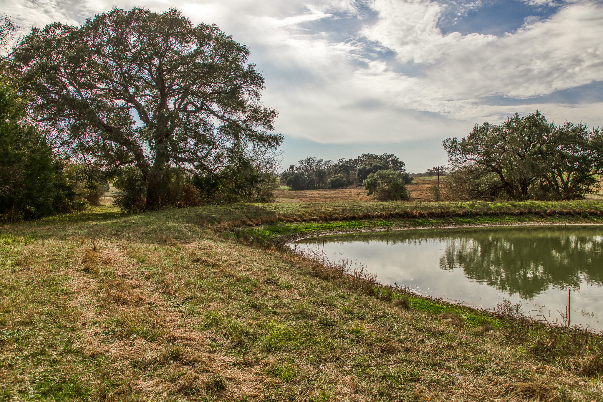 0 Mt Vernon Road Brenham, TX 77833 - Photo 4 of 11 a view of lake with green space