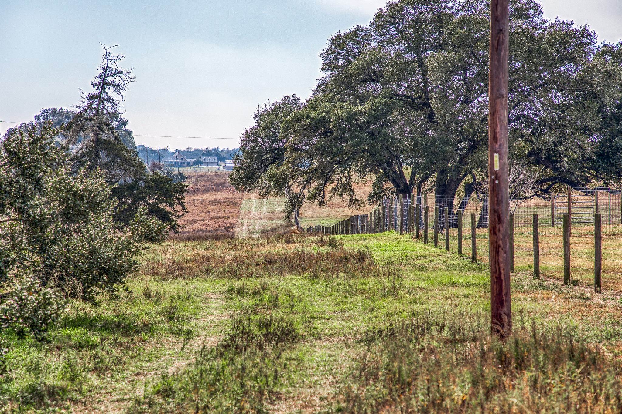0 Mt Vernon Road Brenham, TX 77833 - Photo 5 of 11 a view of backyard with tree