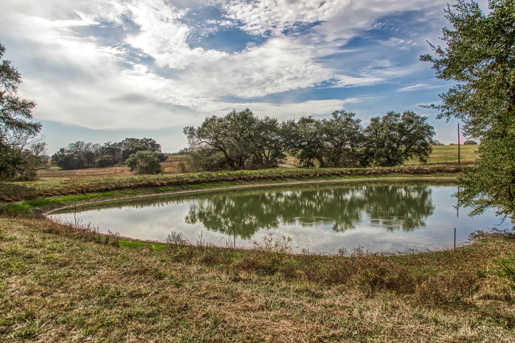 0 Mt Vernon Road Brenham, TX 77833 - Photo 8 of 11 a view of a lake from a yard
