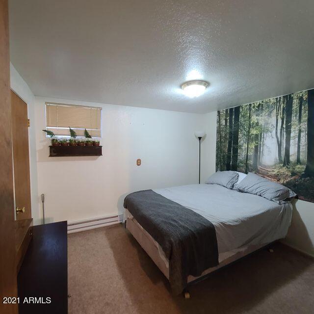 3924 Bloody Basin Road Pine, AZ 85544 - Photo 29 of 50 29