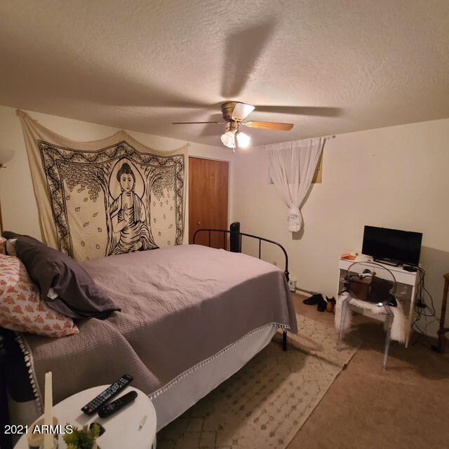 3924 Bloody Basin Road Pine, AZ 85544 - Photo 33 of 50 33