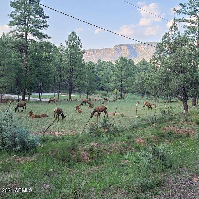 3924 Bloody Basin Road Pine, AZ 85544 - Photo 50 of 50 50