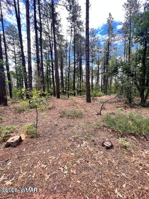 3073 Strawberry Hill Road Pinetop, AZ 85935 - Photo 22 of 23