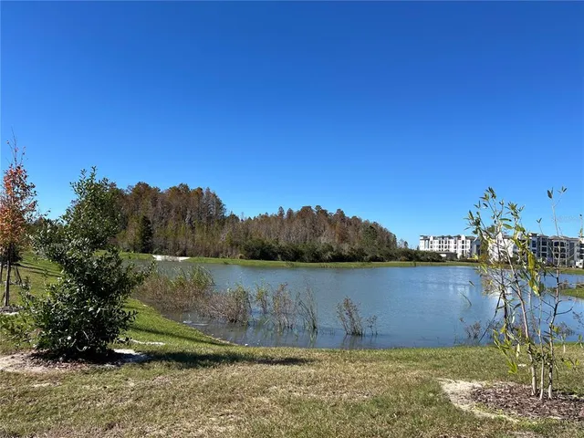 $2,050 | 2472 Riversong Ldg Lane, Wesley Chapel, FL 33543