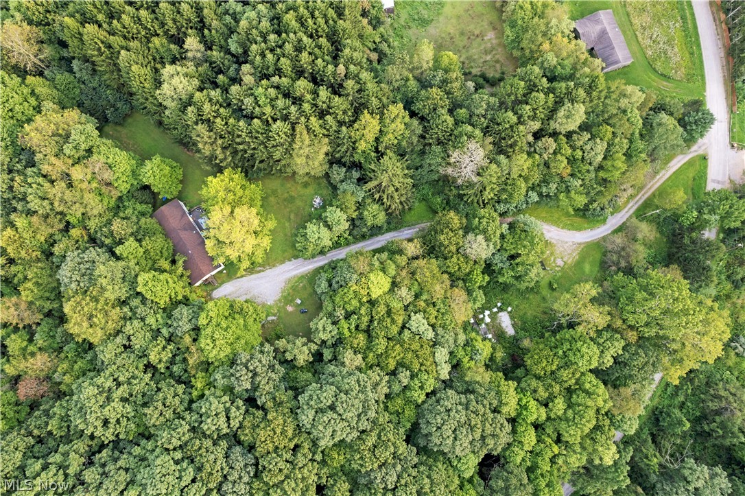 12422 Leslie Road Lisbon, OH 44432 - Photo 29 of 29