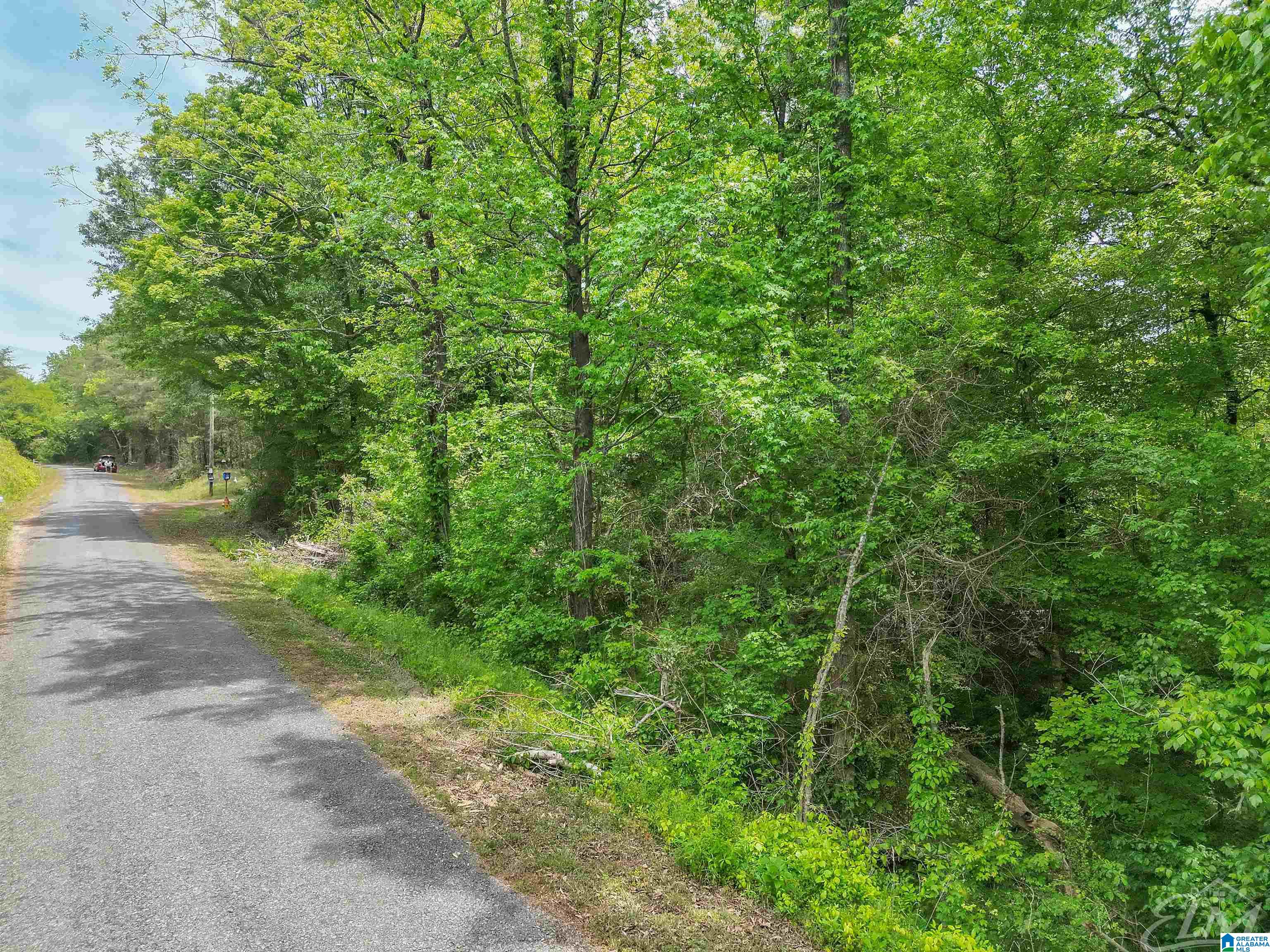 0 Moreland Road, Unit 1 Brierfield, AL 35035 - Photo 10 of 15