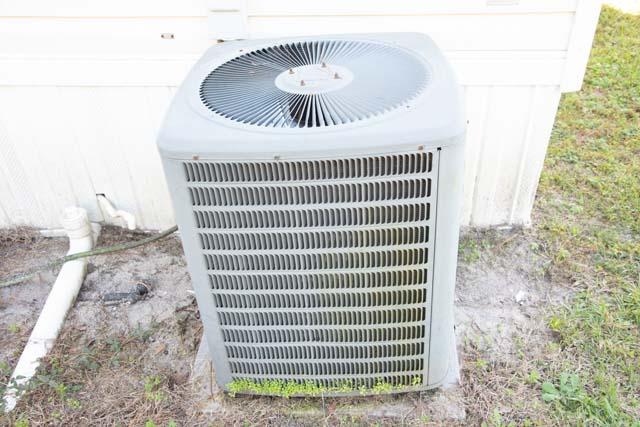 862 McLeod Road Walterboro, SC 29488 - Photo 11 of 22 DSC_6638