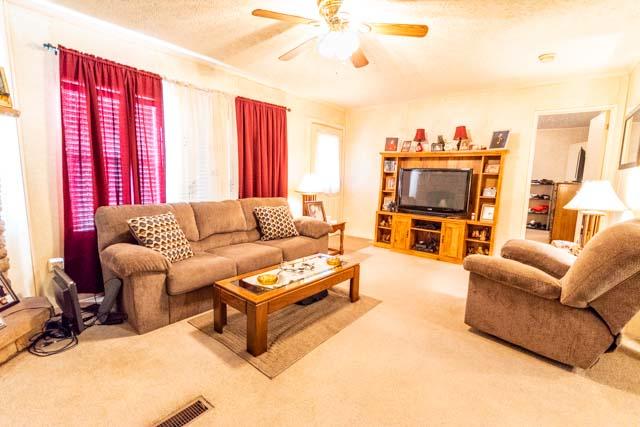 862 McLeod Road Walterboro, SC 29488 - Photo 13 of 22 DSC_6644