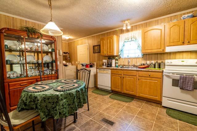 862 McLeod Road Walterboro, SC 29488 - Photo 16 of 22 DSC_6666-HDR