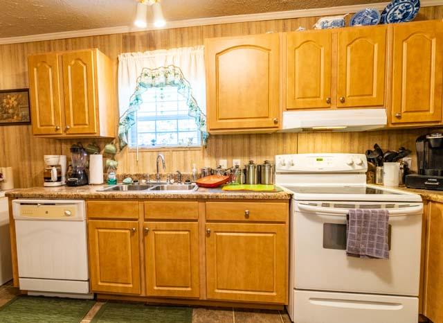 862 McLeod Road Walterboro, SC 29488 - Photo 18 of 22 DSC_6675-HDR
