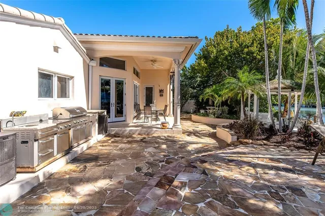 a view of a backyard with plants and palm trees