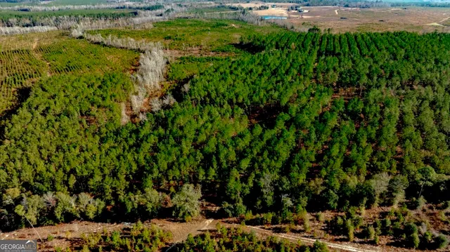 $1,548,000 | 0 South Highway 19 & Warm Spring Road, Glenwood, GA 30428