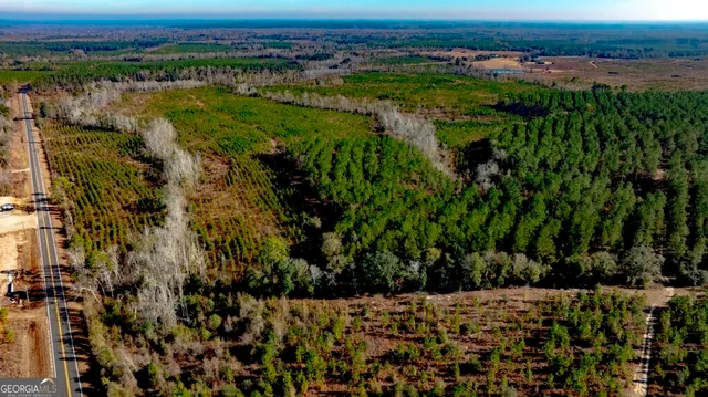 $1,548,000 | 0 South Highway 19 & Warm Spring Road, Glenwood, GA 30428