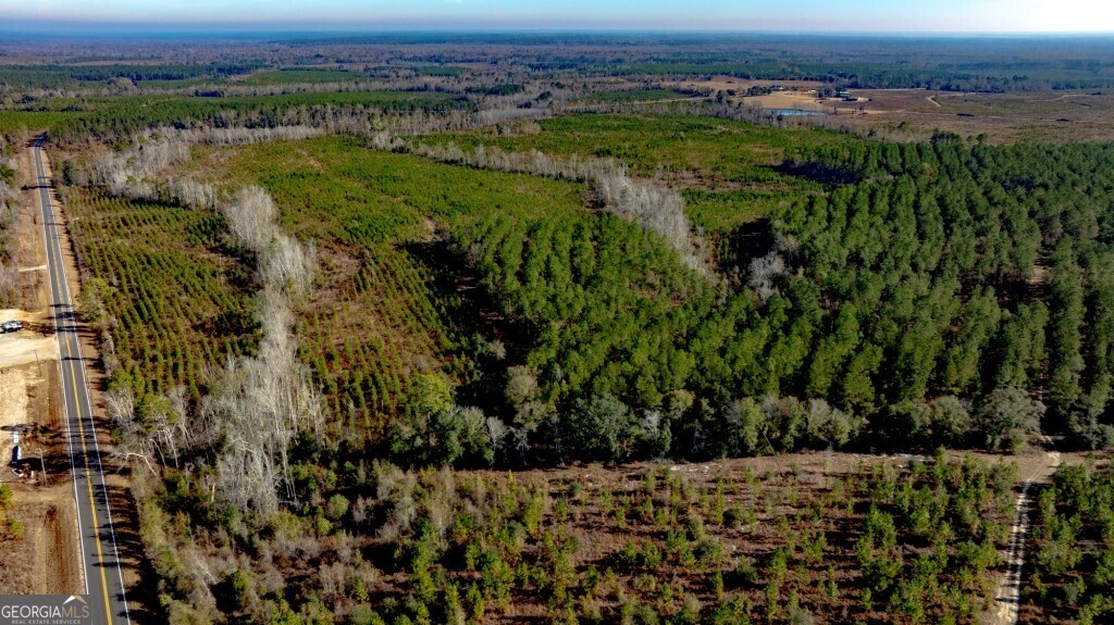 0 South Highway 19 & Warm Spring Road Glenwood, GA 30428 - Photo 12 of 34