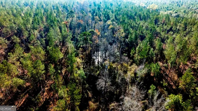 $1,548,000 | 0 South Highway 19 & Warm Spring Road, Glenwood, GA 30428