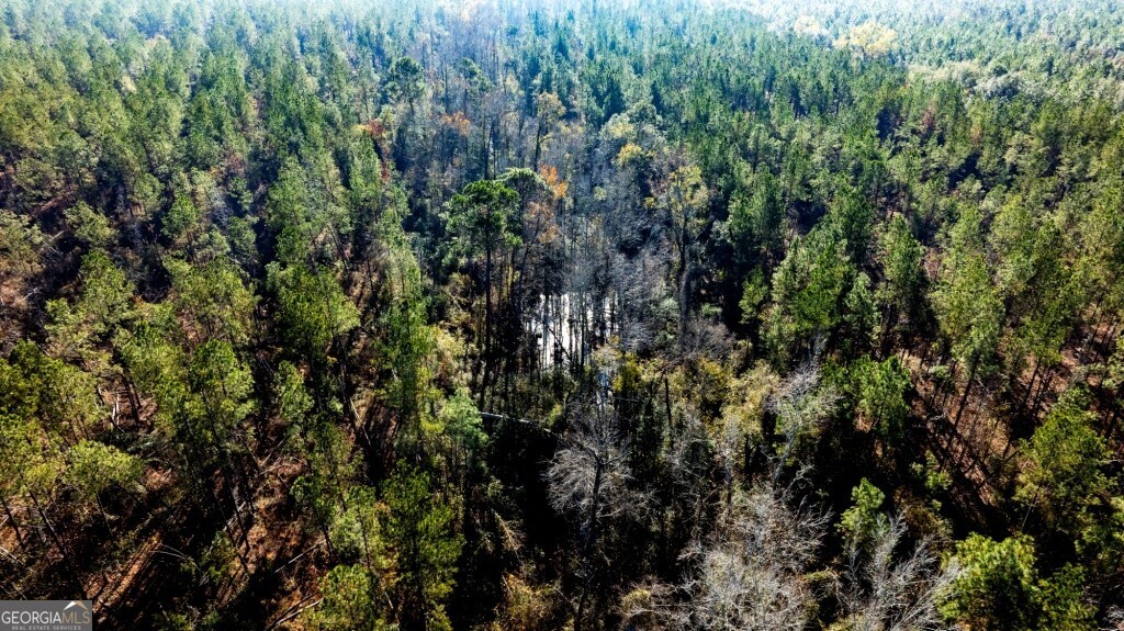 0 South Highway 19 & Warm Spring Road Glenwood, GA 30428 - Photo 14 of 34