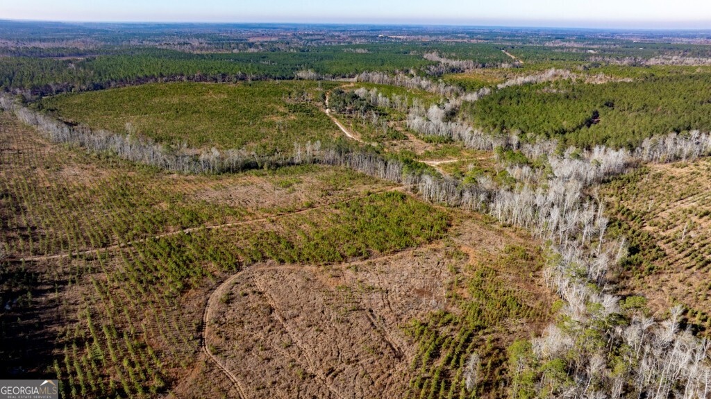 0 South Highway 19 & Warm Spring Road Glenwood, GA 30428 - Photo 15 of 34