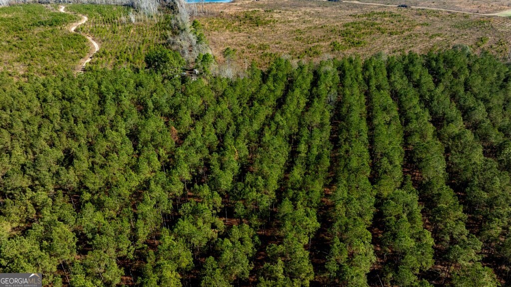 0 South Highway 19 & Warm Spring Road Glenwood, GA 30428 - Photo 16 of 34