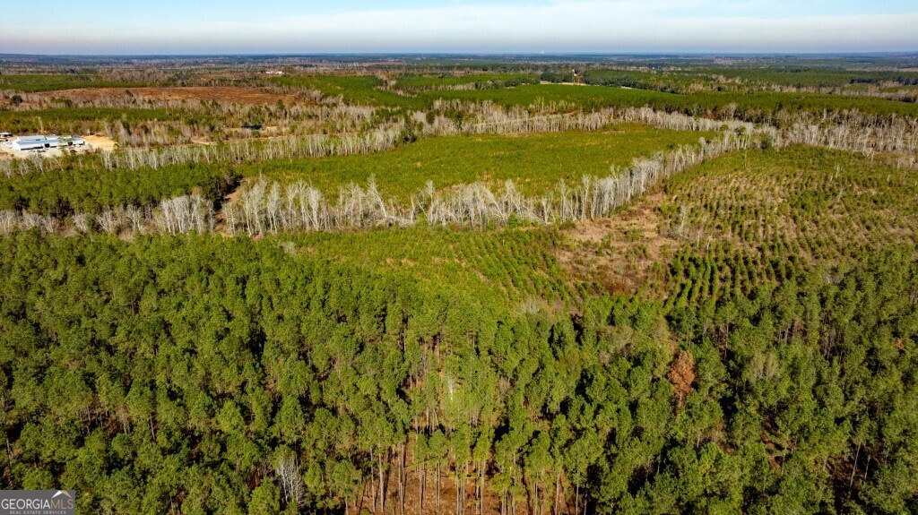 0 South Highway 19 & Warm Spring Road Glenwood, GA 30428 - Photo 17 of 34